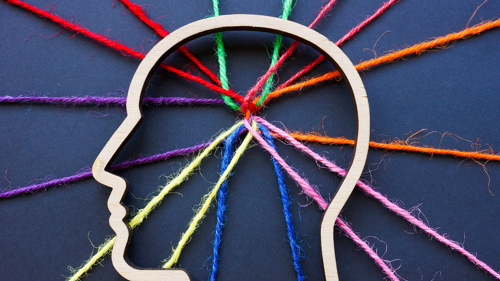 Developmental Neurology