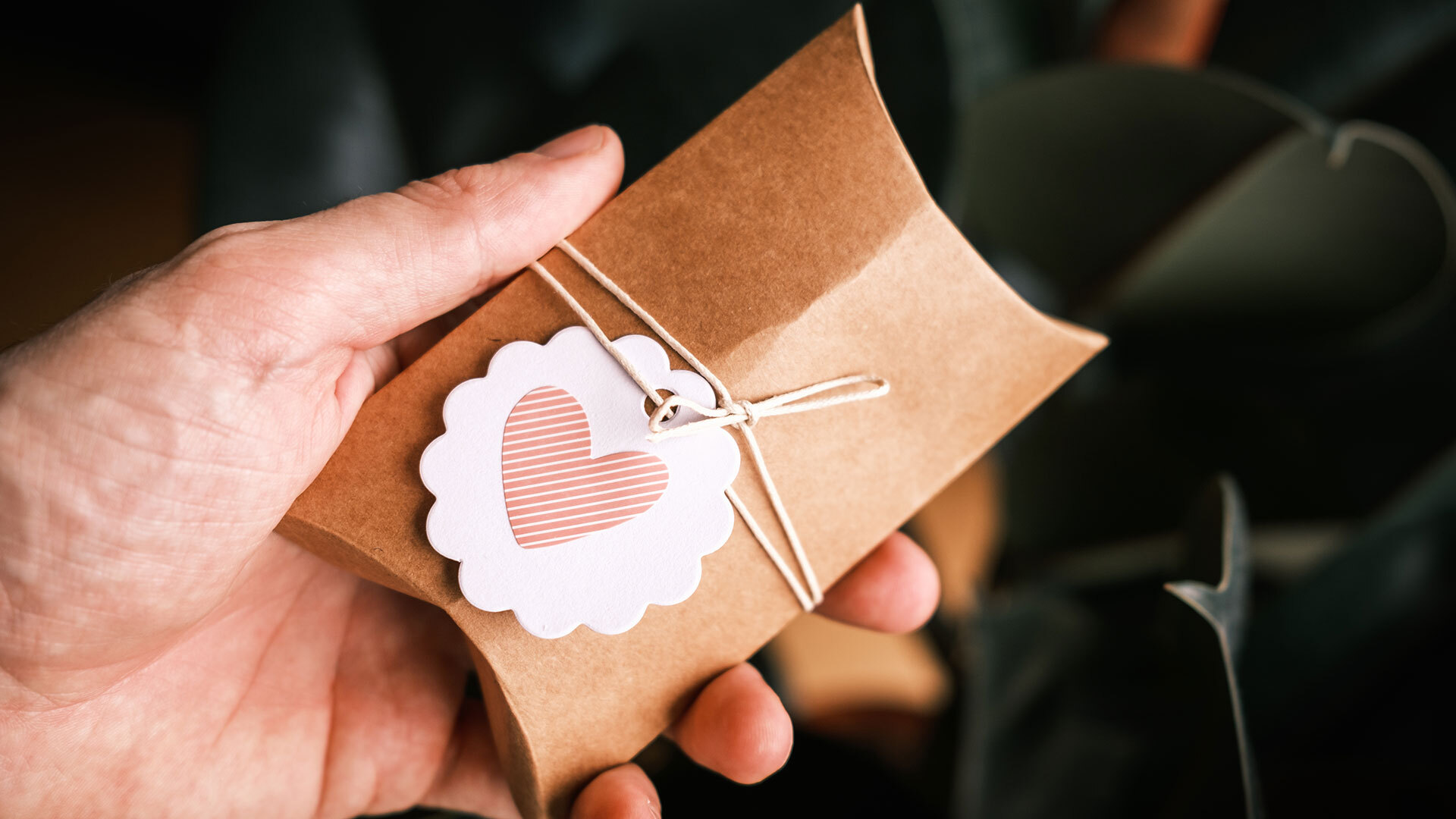 Tikkun Olam in Action: Bridge to Stability